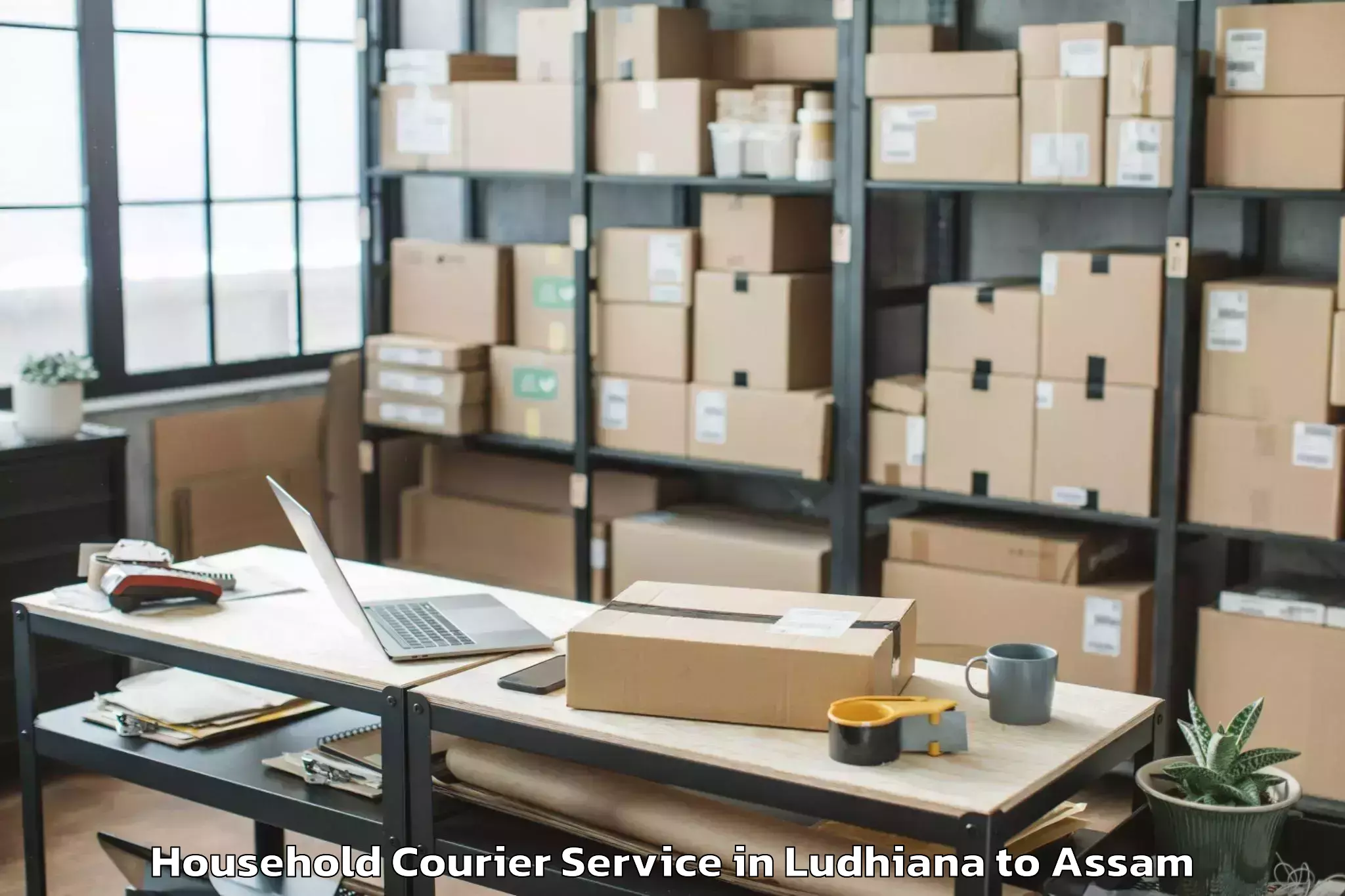 Hassle-Free Ludhiana to Abhilashi University Jorhat Household Courier